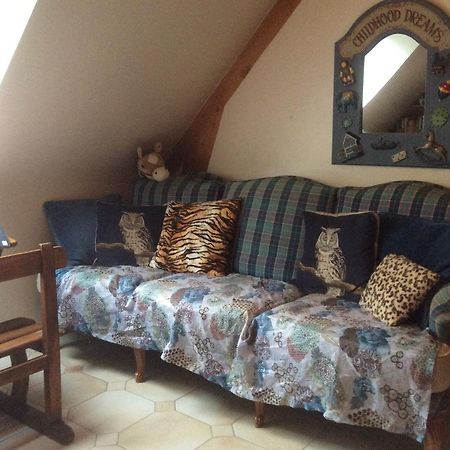 Chambres D'Hotes Les Mimosas Sables-dʼOr-les-Pins Dış mekan fotoğraf