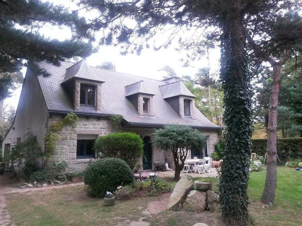 Chambres D'Hotes Les Mimosas Sables-dʼOr-les-Pins Dış mekan fotoğraf