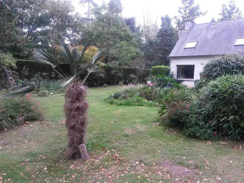 Chambres D'Hotes Les Mimosas Sables-dʼOr-les-Pins Dış mekan fotoğraf