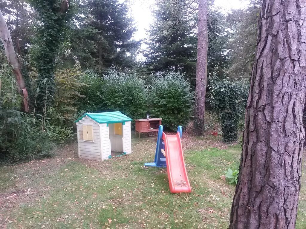 Chambres D'Hotes Les Mimosas Sables-dʼOr-les-Pins Dış mekan fotoğraf